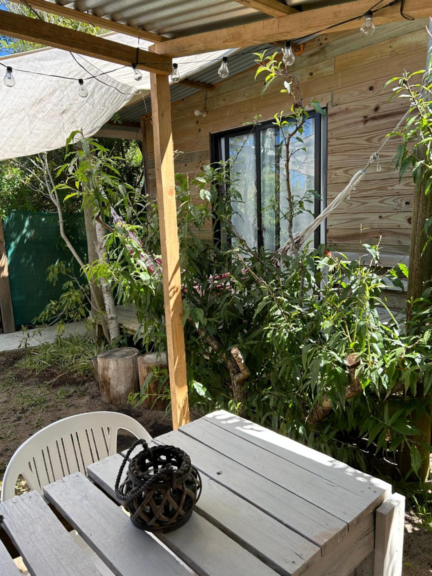 Lunas Del Bosque Cabana Y Apartamento En Suite La Paloma Eksteriør billede