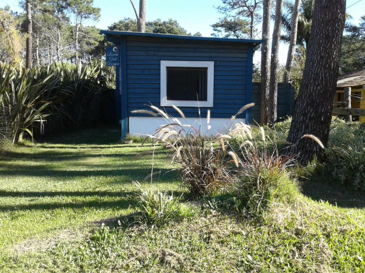 Lunas Del Bosque Cabana Y Apartamento En Suite La Paloma Eksteriør billede